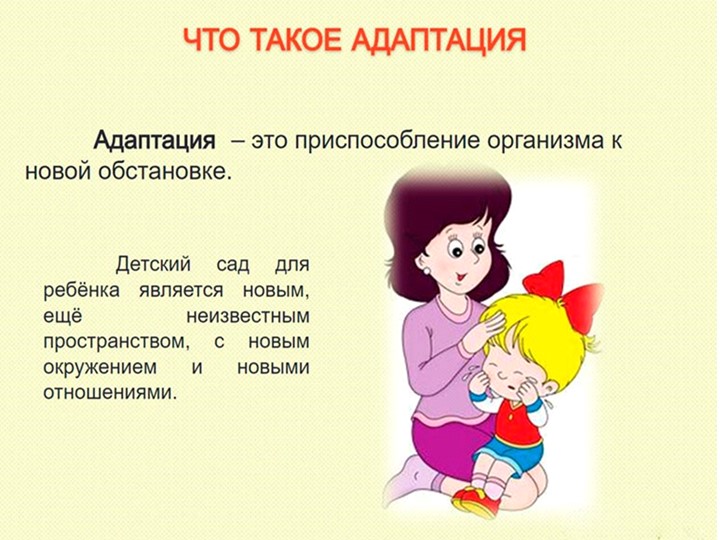 Условия успешной адаптации детей раннего возраста в ДОУ