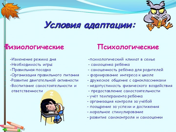 Условия успешной адаптации детей раннего возраста в ДОУ