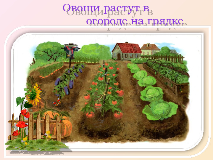 Презентация. индивидуальное логопедическое занятие по лексической теме "Фрукты - Овощи"