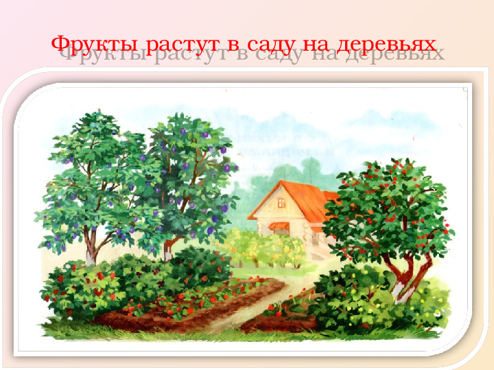 Презентация. индивидуальное логопедическое занятие по лексической теме "Фрукты - Овощи"