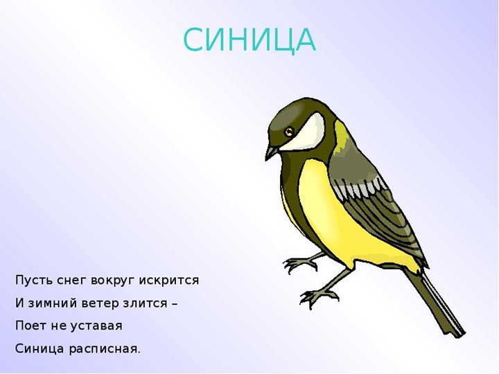 Презентация. Учим буквы. Буква С.