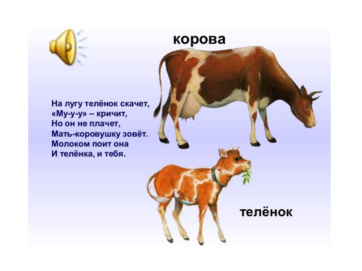 Презентация для детей дошкольного возраста по ознакомлению с животными