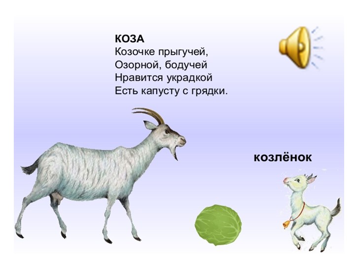 Презентация для детей дошкольного возраста по ознакомлению с животными
