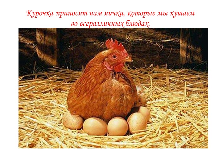 Презентация для детей дошкольного возраста по ознакомлению с животными