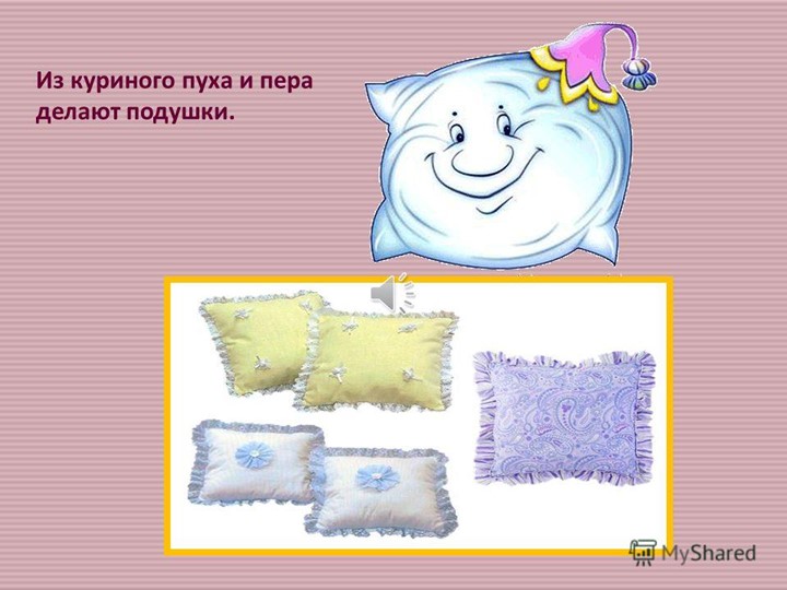 Презентация для детей дошкольного возраста по ознакомлению с животными