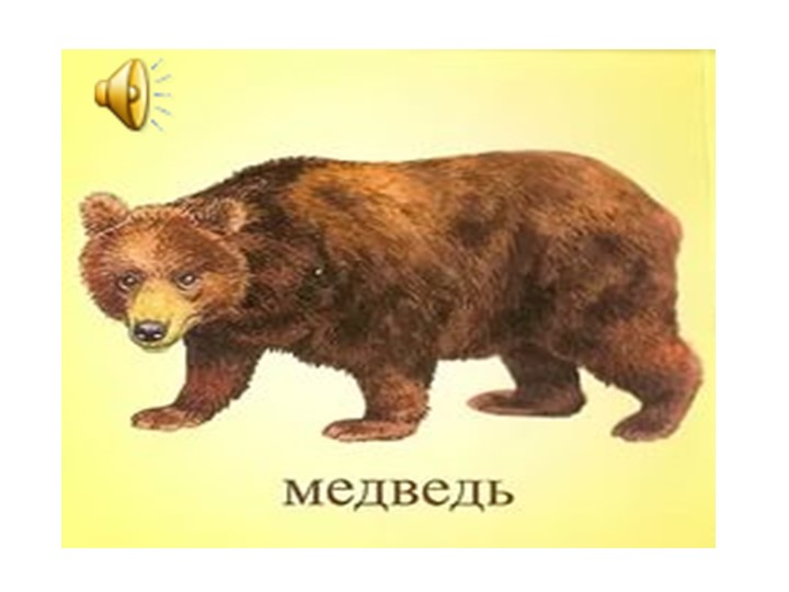 Презентация для детей дошкольного возраста по ознакомлению с животными