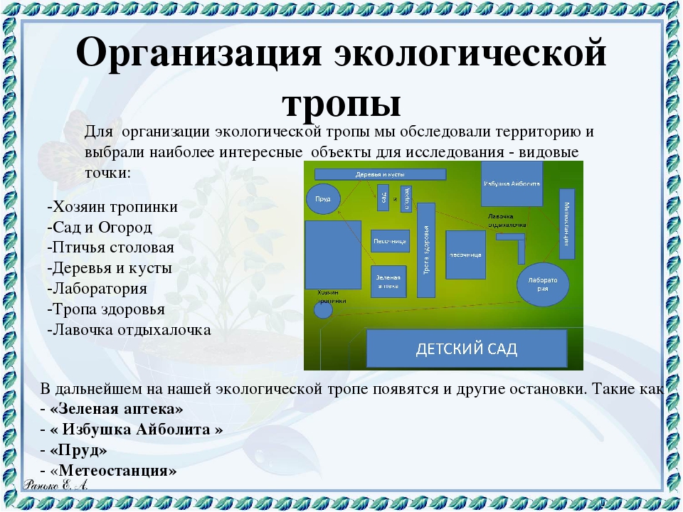 Презентация "Экологическая тропа" Любовь к Родине начинается с любви к природе