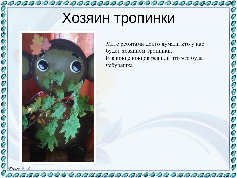Презентация "Экологическая тропа" Любовь к Родине начинается с любви к природе