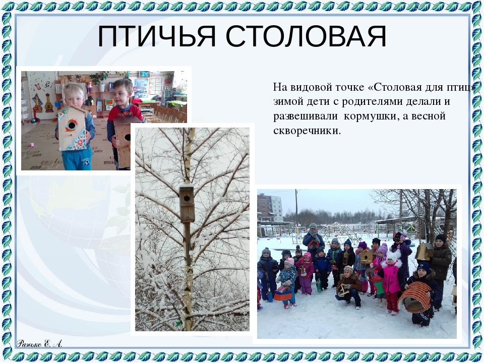 Презентация "Экологическая тропа" Любовь к Родине начинается с любви к природе