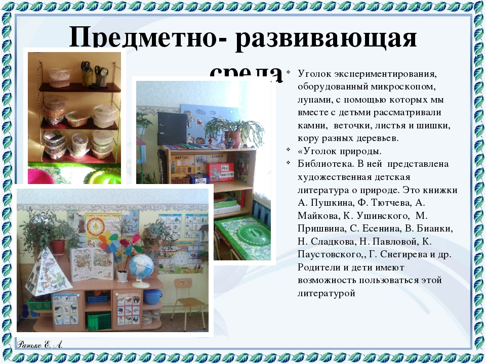 Презентация "Экологическая тропа" Любовь к Родине начинается с любви к природе