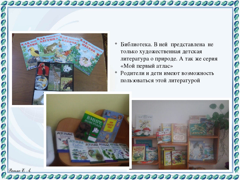 Презентация "Экологическая тропа" Любовь к Родине начинается с любви к природе