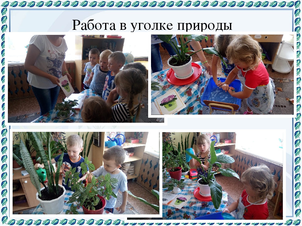 Презентация "Экологическая тропа" Любовь к Родине начинается с любви к природе