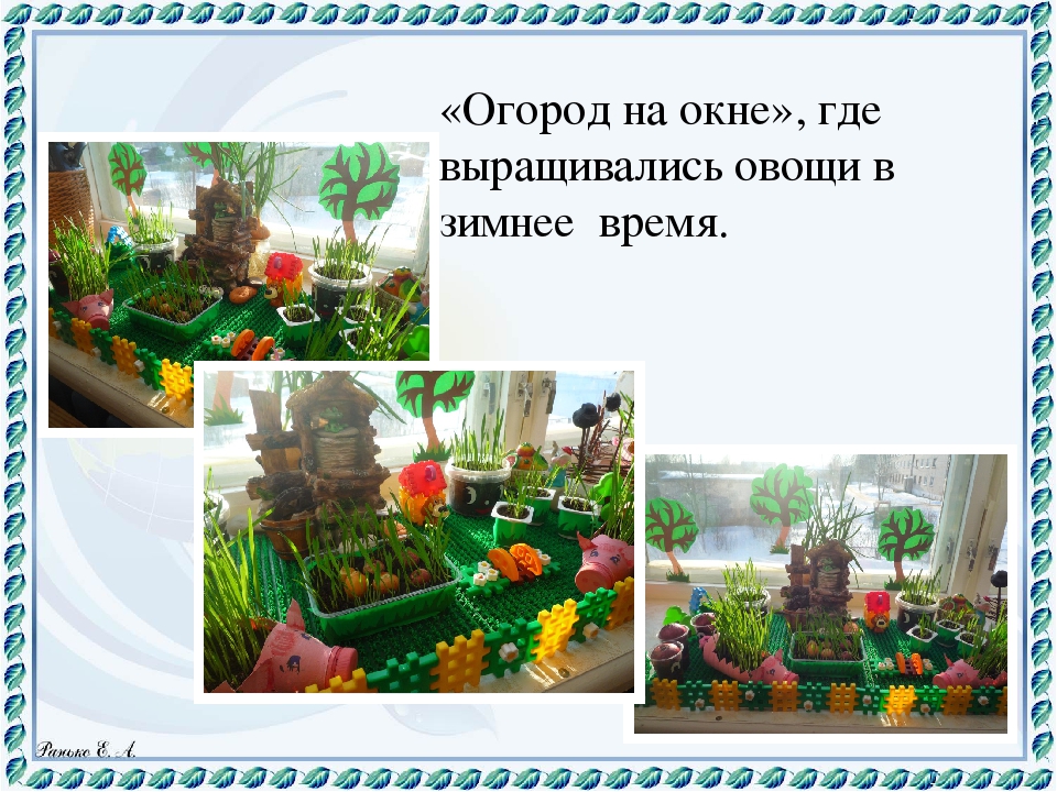 Презентация "Экологическая тропа" Любовь к Родине начинается с любви к природе