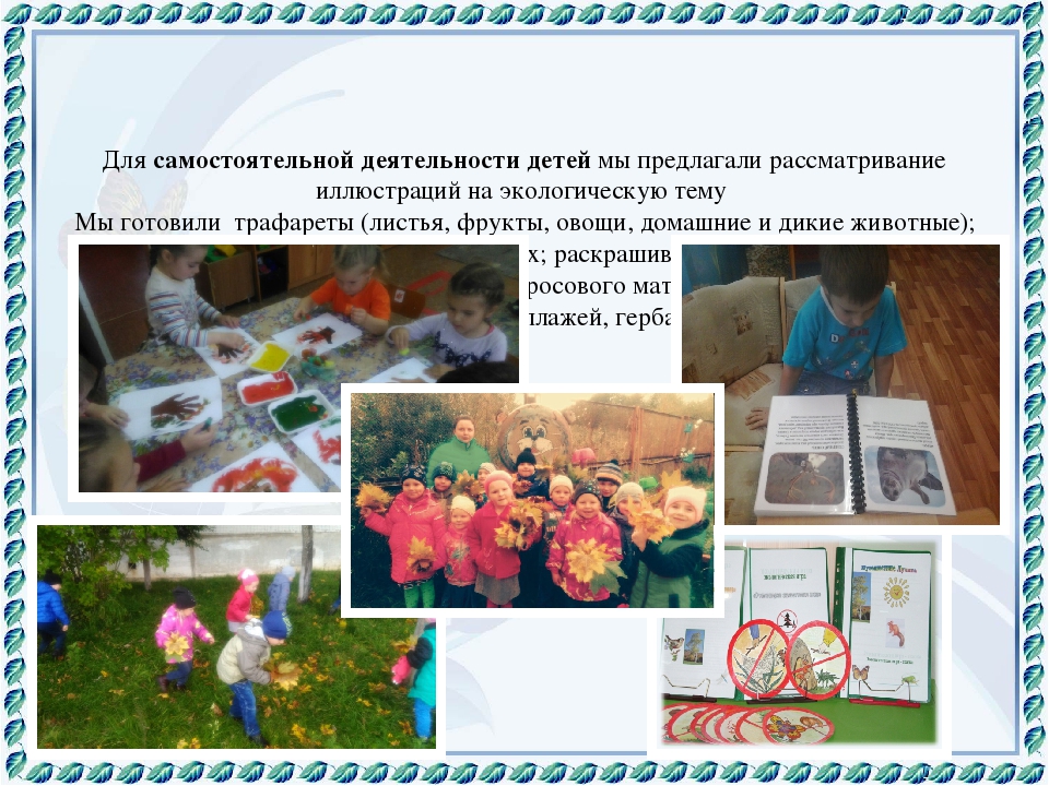 Презентация "Экологическая тропа" Любовь к Родине начинается с любви к природе