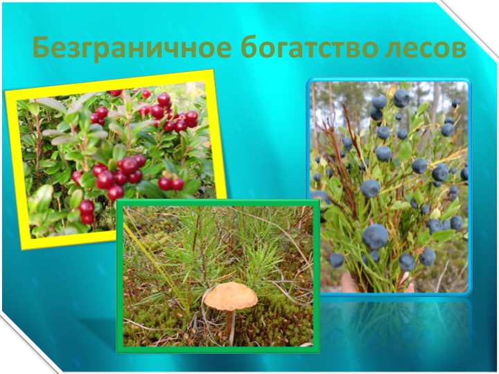 Презентация "Мой край Югра"