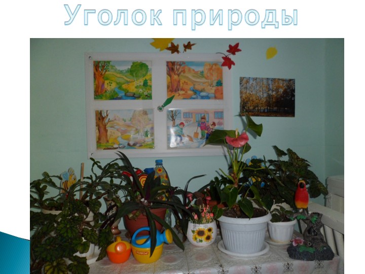 Презентация "Предметно-развивающая среда в младшей группе"