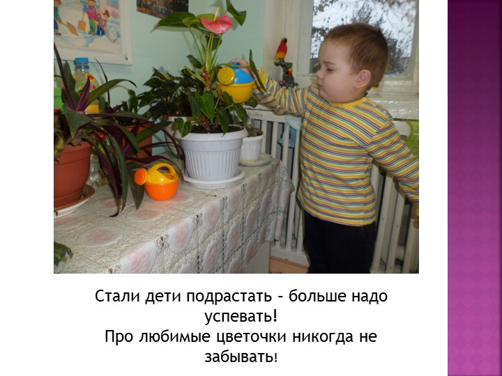 Презентация "Мы расскажем вам о том ,как мы в садике своем очень весело живем"