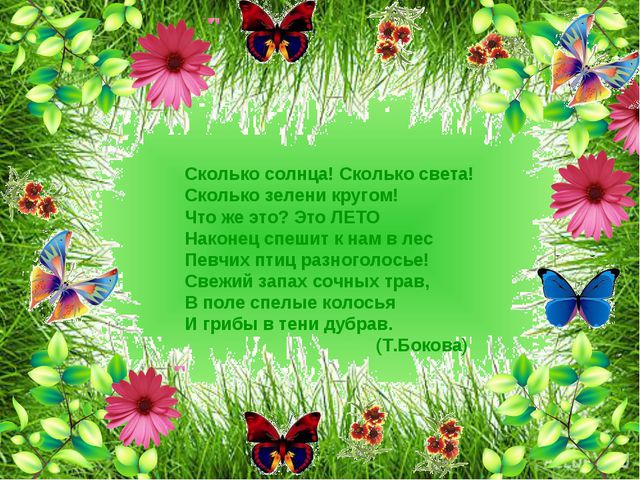 Вот оно какое наше лето! Презентация для дошкольников