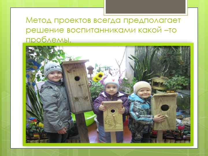 Проектно-программный подход в дополнительной образовательной деятельности ДОУ