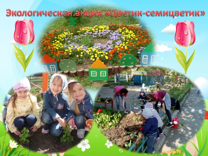 ПРЕЗЕНТАЦИЯ К ПЕДАГОГИЧЕСКОМУ ЭКОПРОЕКТУ: «В ГАРМОНИИ С ПРИРОДОЙ»