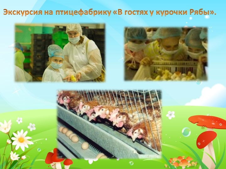 ПРЕЗЕНТАЦИЯ К ПЕДАГОГИЧЕСКОМУ ЭКОПРОЕКТУ: «В ГАРМОНИИ С ПРИРОДОЙ»