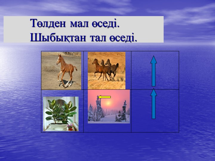 Презентация на тему "Мнемотехника"