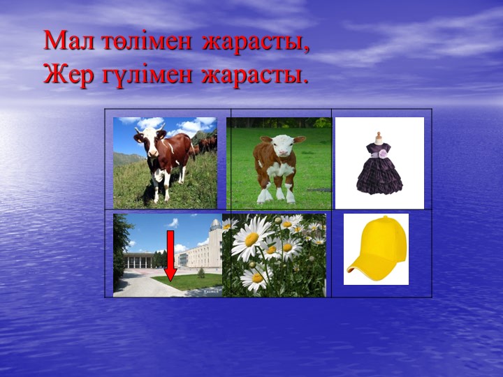 Презентация на тему "Мнемотехника"