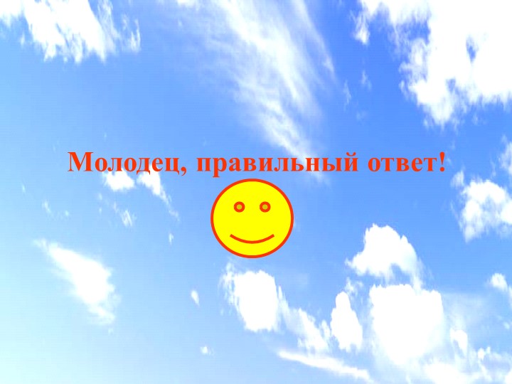 Электронная дидактическая игра "Мой любимый город Рыбинск"