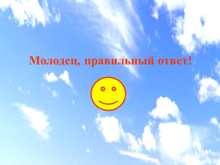 Электронная дидактическая игра "Мой любимый город Рыбинск"