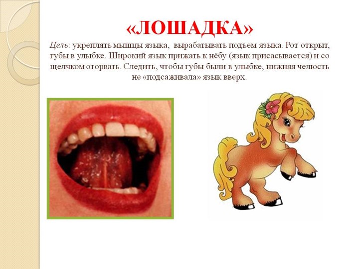 Презентация "Комплекс артикуляционных упражнений"