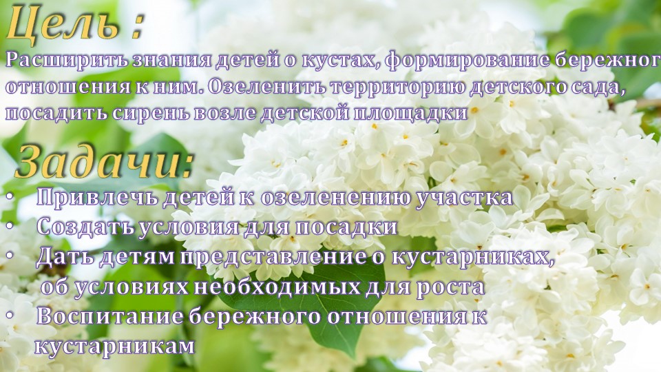 Презентация по окружающему миру"Посадка сирени"(вторая младшая группа)