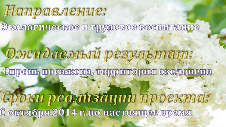 Презентация по окружающему миру"Посадка сирени"(вторая младшая группа)