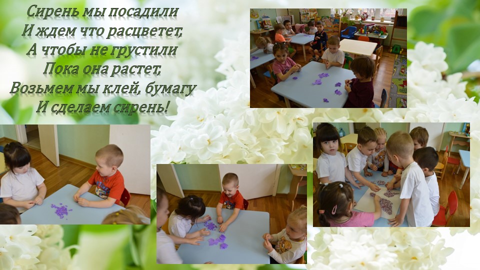 Презентация по окружающему миру"Посадка сирени"(вторая младшая группа)