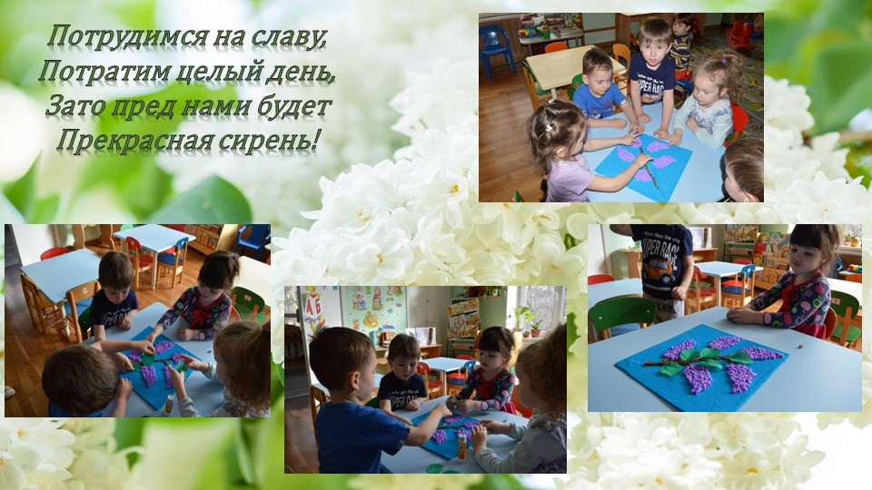 Презентация по окружающему миру"Посадка сирени"(вторая младшая группа)