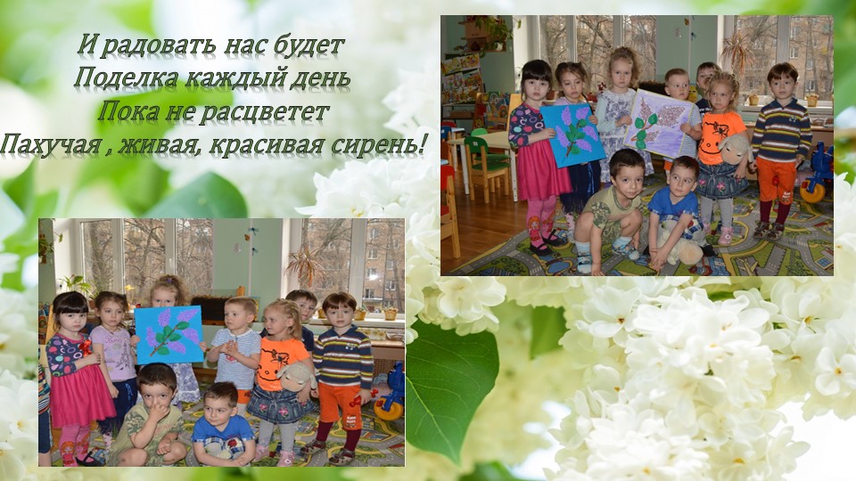 Презентация по окружающему миру"Посадка сирени"(вторая младшая группа)