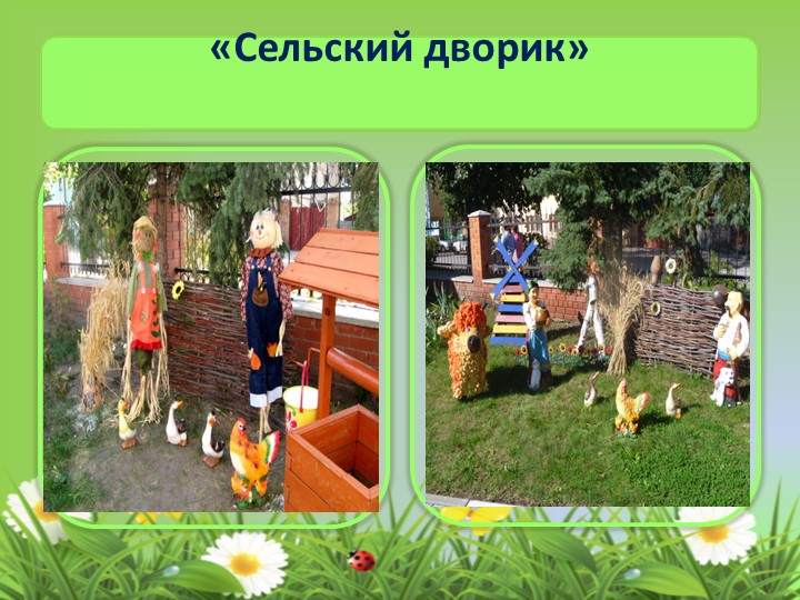 Презентация «Территория детского сада как образовательное пространство для изучения и поддержки биоразнообразия»
