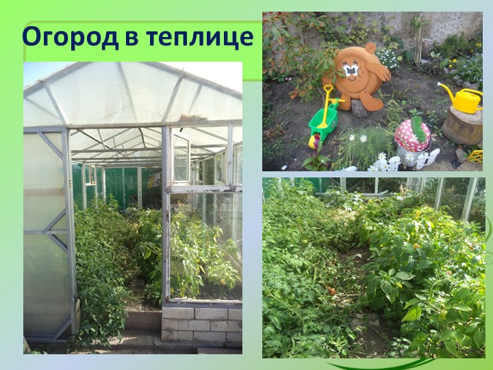 Презентация «Территория детского сада как образовательное пространство для изучения и поддержки биоразнообразия»
