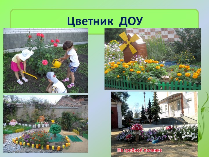Презентация «Территория детского сада как образовательное пространство для изучения и поддержки биоразнообразия»