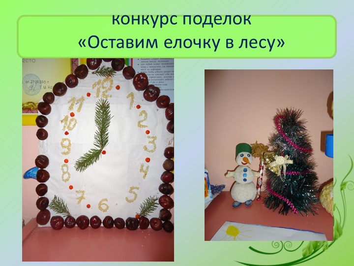 Презентация «Территория детского сада как образовательное пространство для изучения и поддержки биоразнообразия»