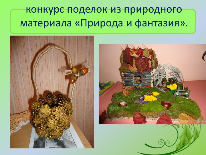 Презентация «Территория детского сада как образовательное пространство для изучения и поддержки биоразнообразия»
