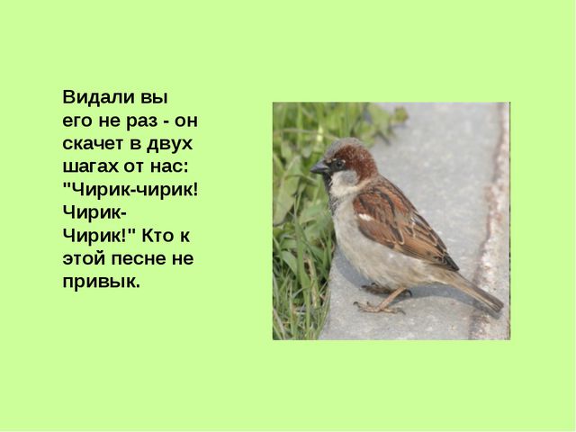 Презентация, посвящённая к международному дню птиц в ДОУ