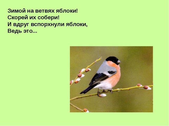 Презентация, посвящённая к международному дню птиц в ДОУ