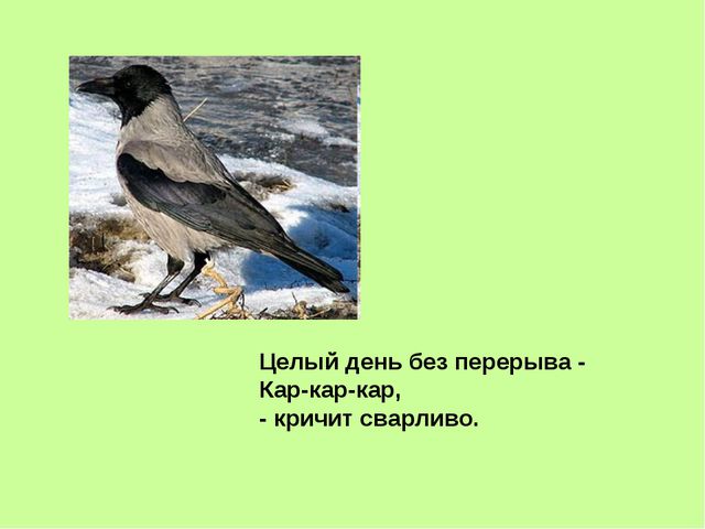 Презентация, посвящённая к международному дню птиц в ДОУ