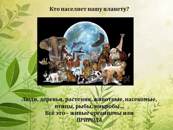 Мы в ответе за нашу планету