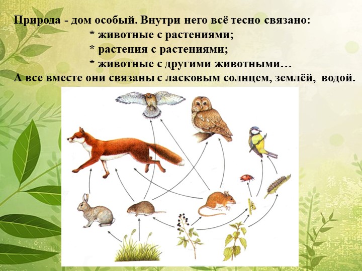 Мы в ответе за нашу планету