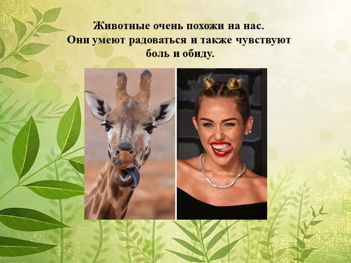 Мы в ответе за нашу планету