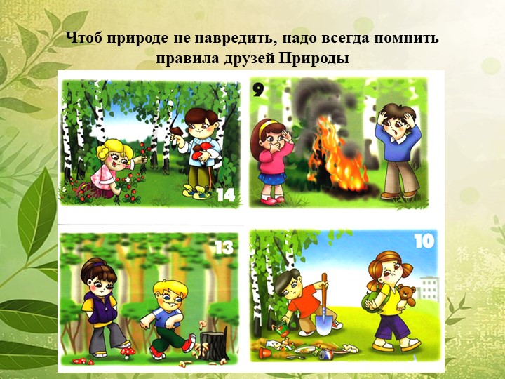 Мы в ответе за нашу планету