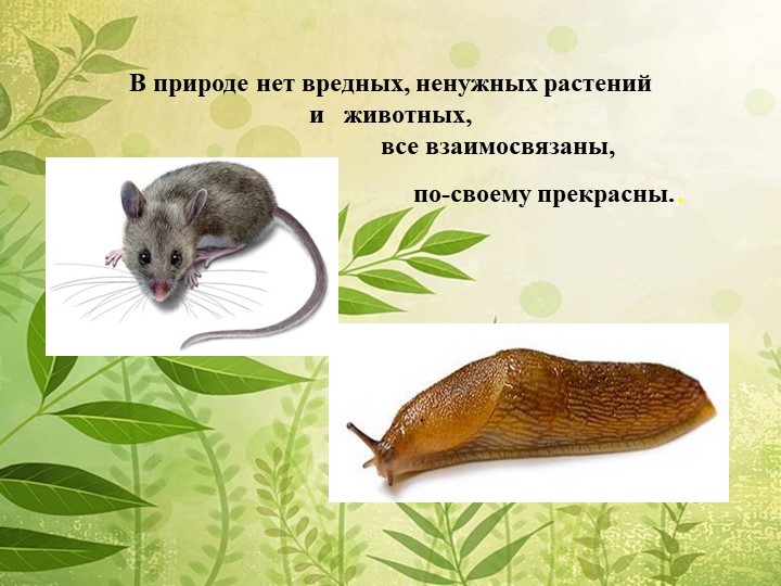 Мы в ответе за нашу планету