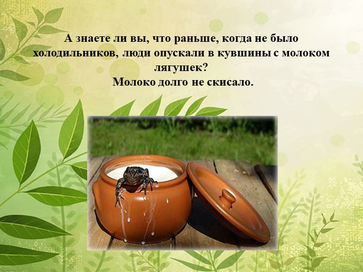 Мы в ответе за нашу планету