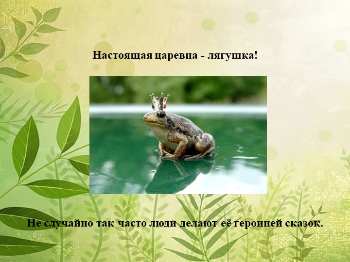Мы в ответе за нашу планету